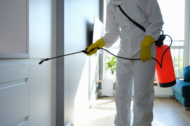 Best Kitchen Mold Remediation in Milton, FL